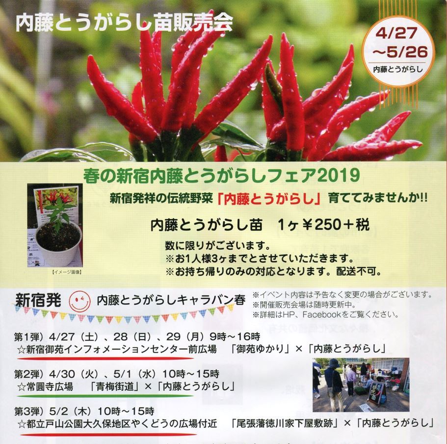 とうがらし様3点おまとめ品 0807-sq1.jpg