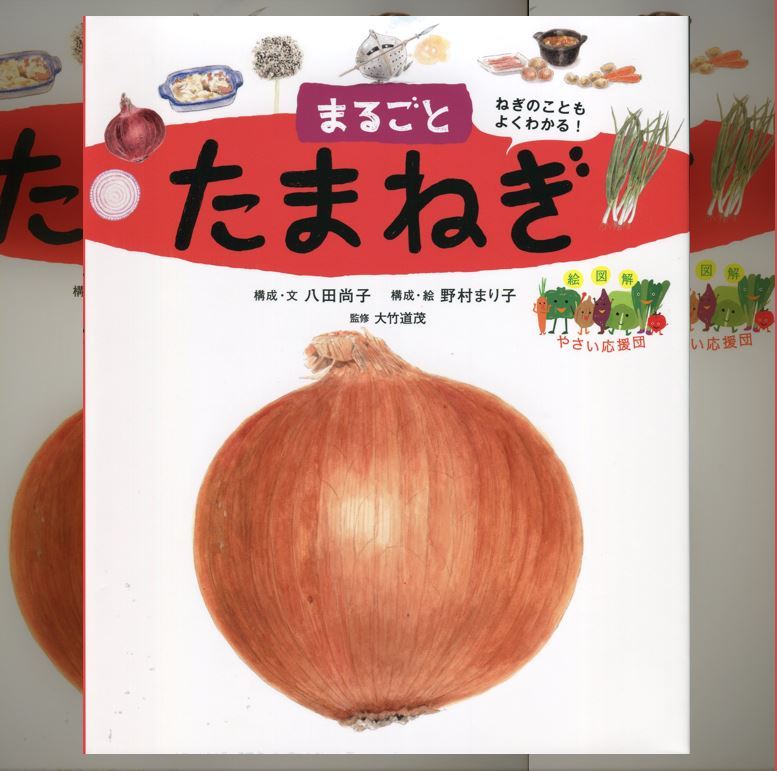 野菜の絵本セット 12冊 野菜の絵本セット 12冊 野菜の絵本セット 12冊 楽天市場】絵本 野菜