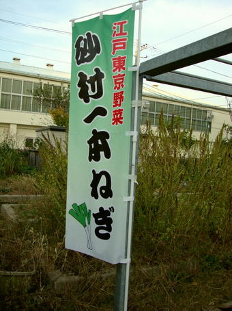 1-1.jpg
