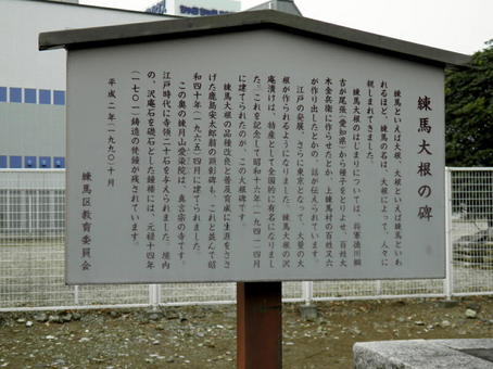 1-1005.jpg
