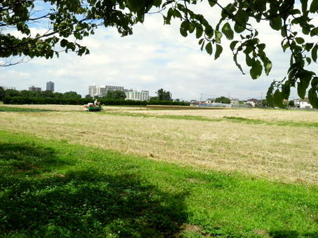 1-1032.jpg
