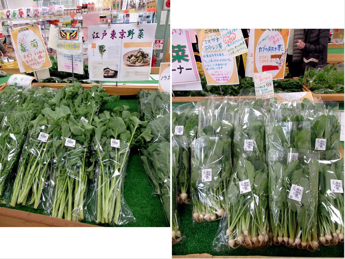 江戸東京野菜通信 大竹道茂の伝統野菜に関する情報ブログ 野菜の直売所で見つけた カブの間引き菜