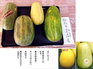 マクワウリ　美味しい　10㎏ マクワウリ品種ランキング | 休日果樹園