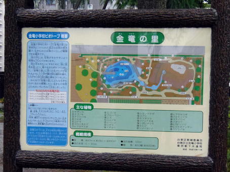 2-1002.jpg