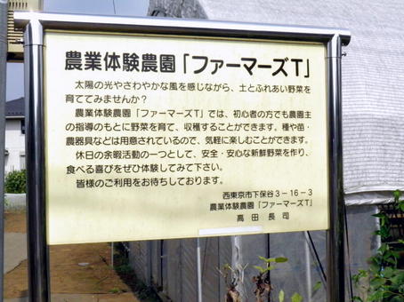 2-1005.jpg