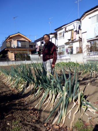 2-1006.jpg