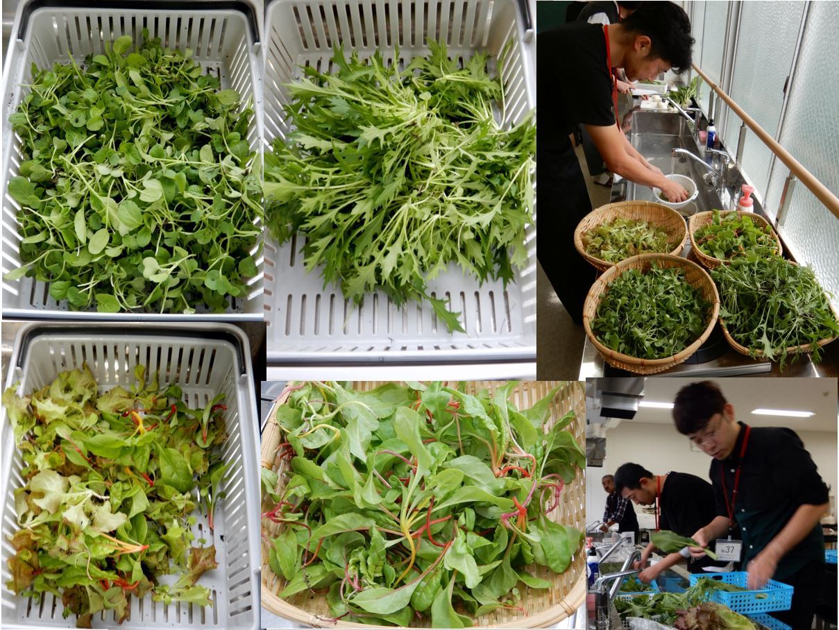 江戸東京野菜通信 大竹道茂の伝統野菜に関する情報ブログ ミクニレッスンに先立ち 児童たちはサラダ用野菜の収穫を行った
