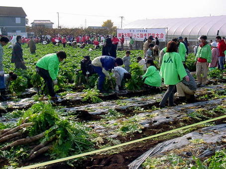 2-2009.jpg