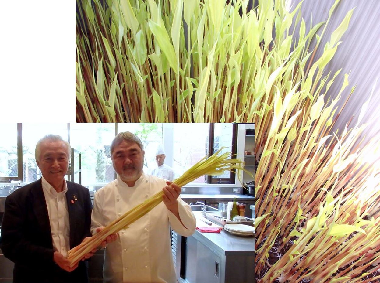 江戸東京野菜を使う、東京ブランドアンバサダーの三国清三シェフ