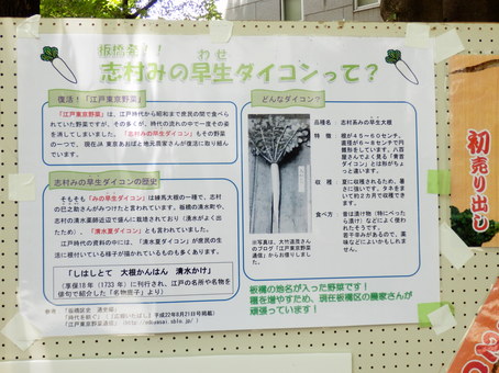 2-P7062106.JPG