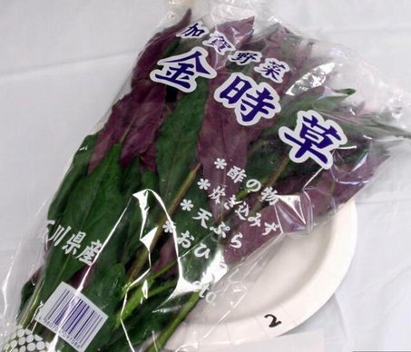 2加賀野菜.jpg