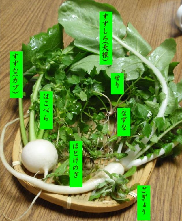 江戸東京野菜通信｜大竹道茂の伝統野菜に関する情報ブログ: 亀戸大根を 