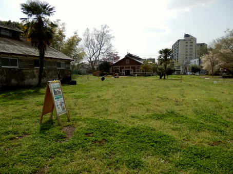 3-1003.jpg
