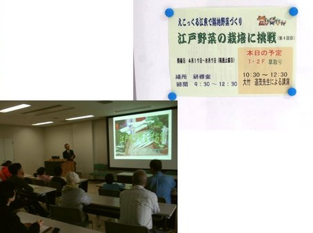 3江戸野菜に挑戦.jpg