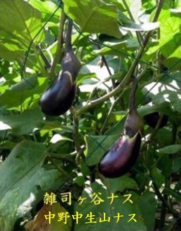 3쒆.JPG