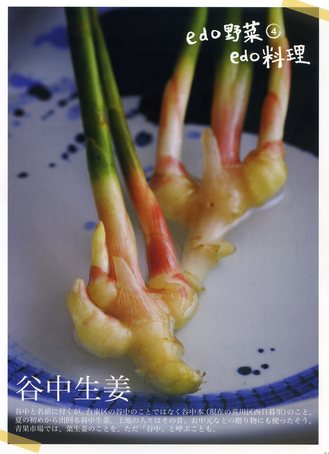 4-1谷中ショウガ.jpg