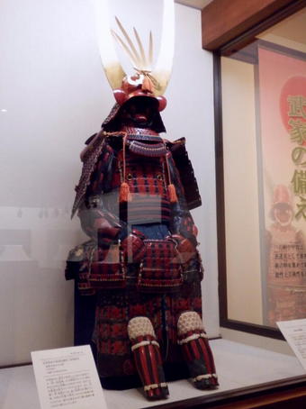 5-1034.jpg