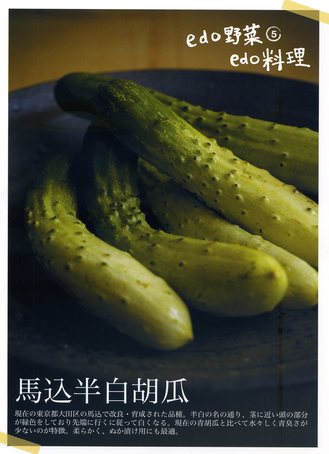 5-1馬込白.jpg