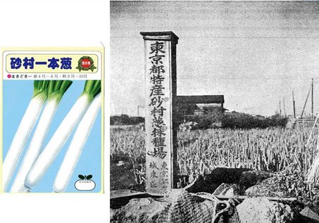 5砂村.jpg