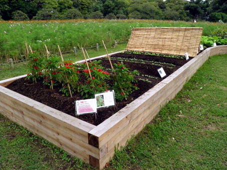 6-1-1005.jpg