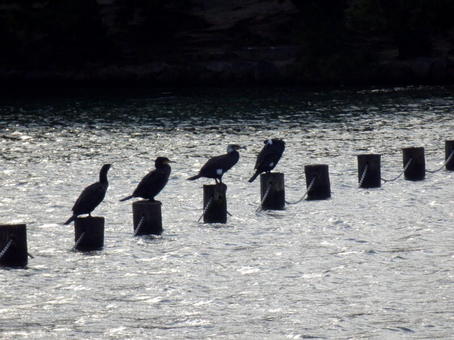 7-1005.jpg