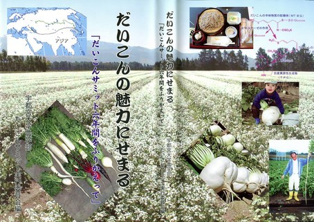 9-1大根の本.jpg