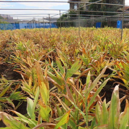 �X�N���[���V���b�g 2023-12-01 220315.png