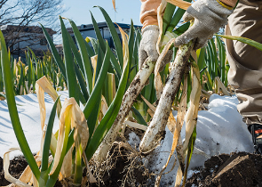 �X�N���[���V���b�g 2024-10-02 184748.png