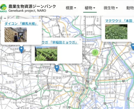 XN[Vbg 2025-04-01 110010.png