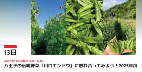 XN[Vbg 2025-05-07 133947.png