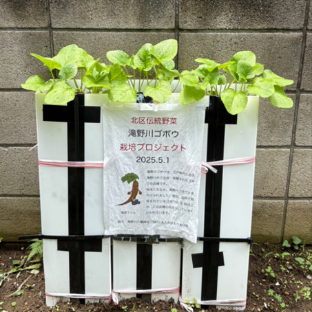 スクリーンショット 2025-06-06 091631.png