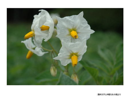 image16.jpg
