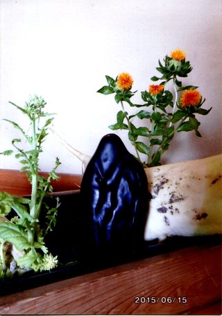 img054.jpg