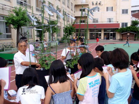 seibutu1 (2).jpg